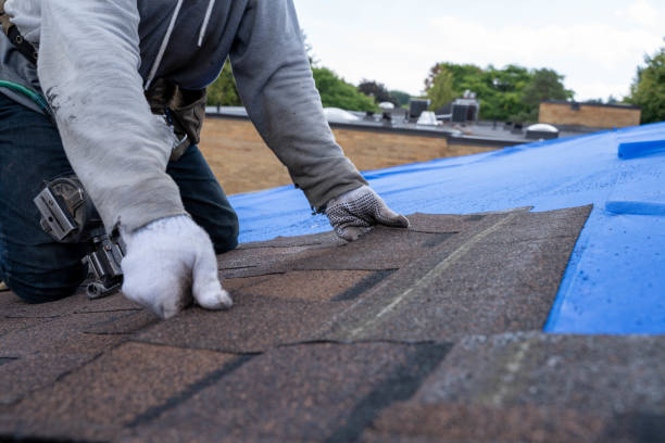 Best Roof Waterproofing Services  in Nora Springs, IA