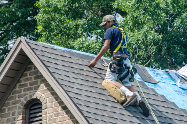 Best Storm Damage Roof Repair  in Nora Springs, IA